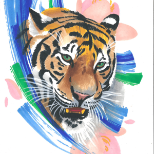 Tigre