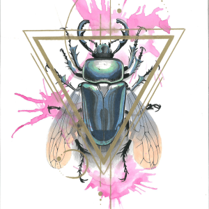 Scarabée rose