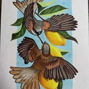 Oiseaux et citrons